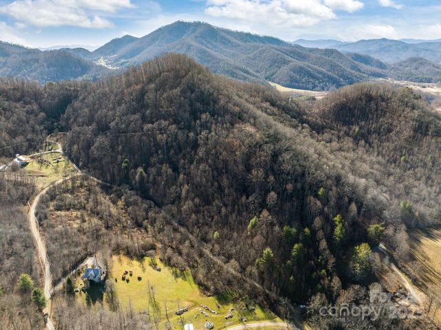 000 Wayward Cove, Clyde, NC 28721