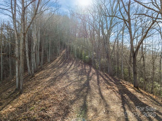 000 Wayward Cove, Clyde, NC 28721