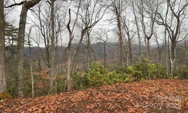 000 Wayward Cove, Clyde, NC 28721