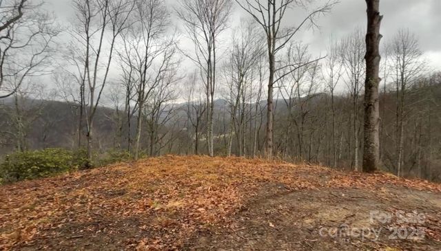 000 Wayward Cove, Clyde, NC 28721