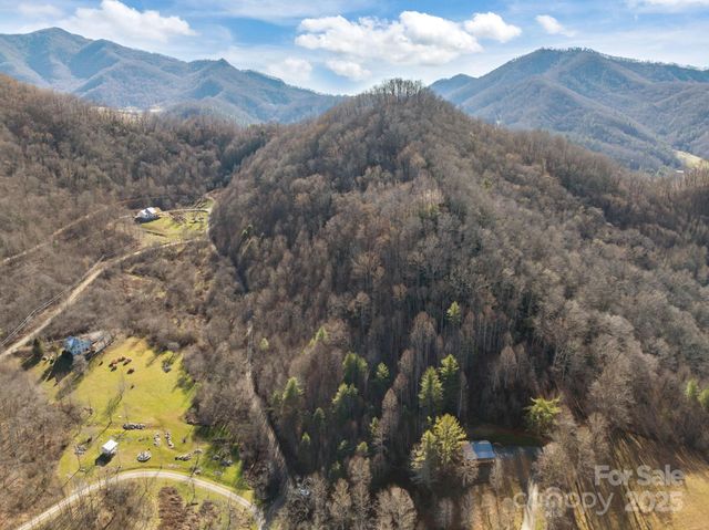 000 Wayward Cove, Clyde, NC 28721