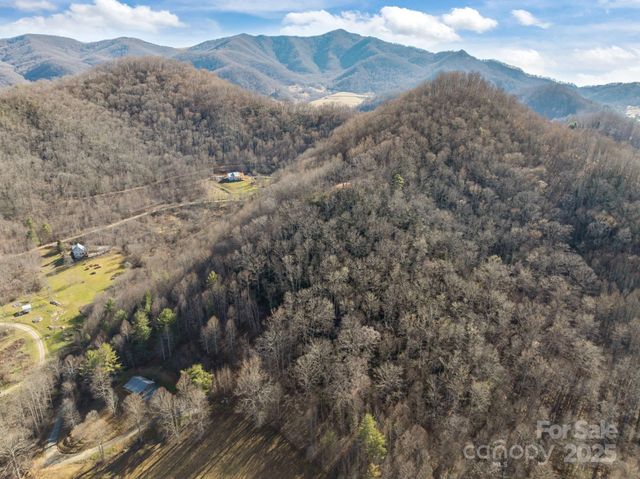 000 Wayward Cove, Clyde, NC 28721