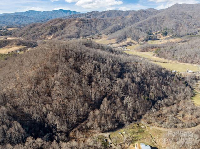 000 Wayward Cove, Clyde, NC 28721