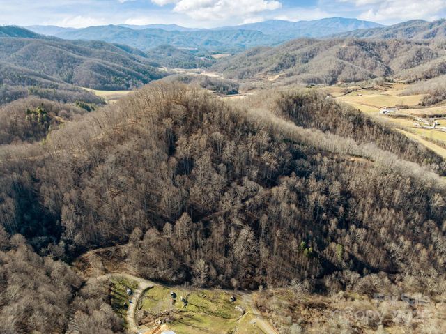 000 Wayward Cove, Clyde, NC 28721