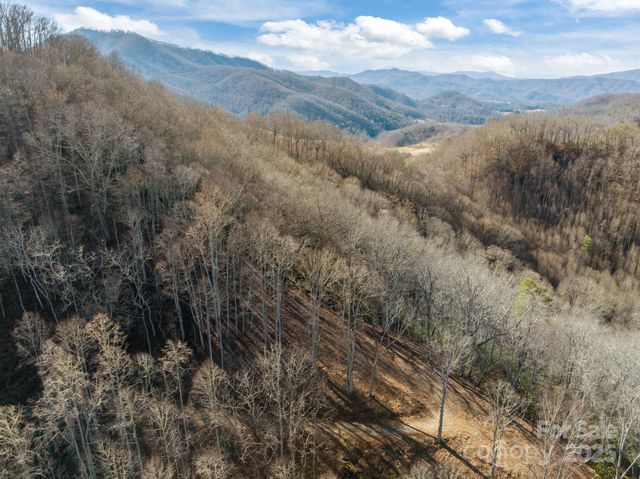 000 Wayward Cove, Clyde, NC 28721