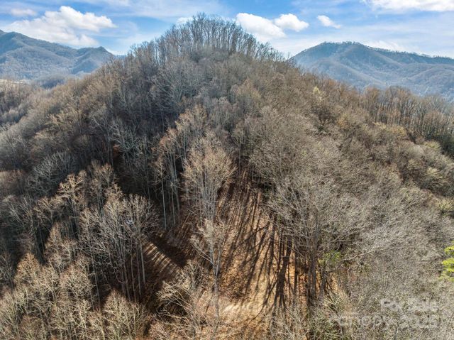 000 Wayward Cove, Clyde, NC 28721