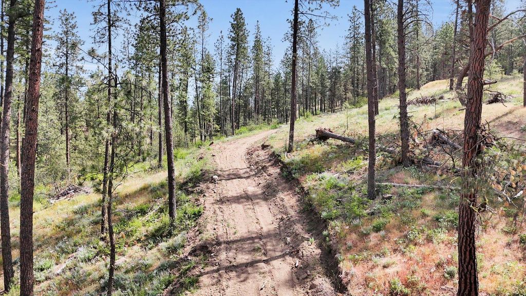 NKA Lower Weaver Way, Deer Park, WA 99006 photo 5