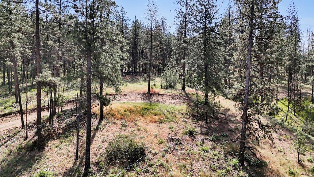 NKA Lower Weaver Way, Deer Park, WA 99006 photo 6