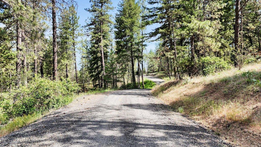 NKA Lower Weaver Way, Deer Park, WA 99006 photo 7