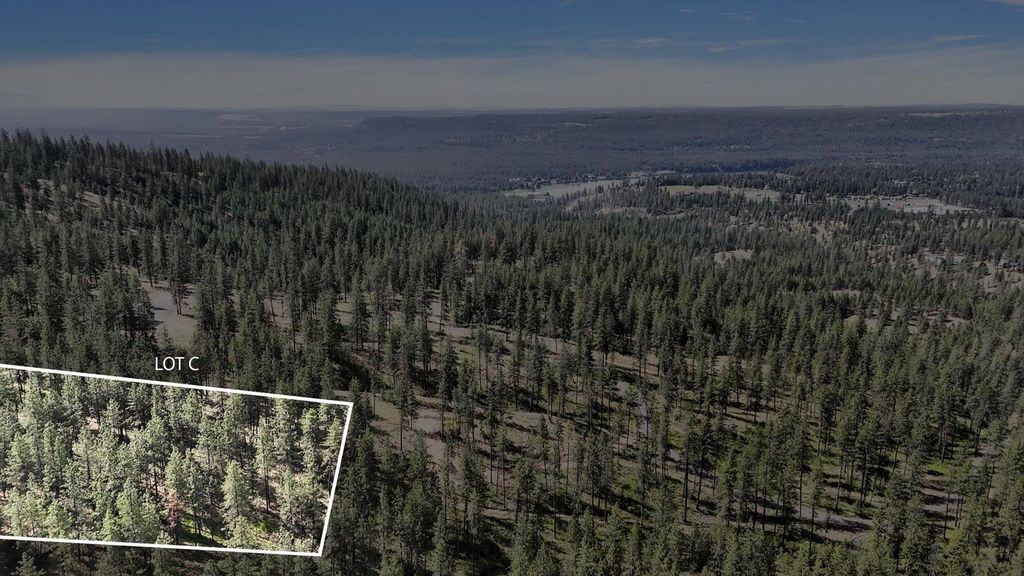 NKA Lower Weaver Way, Deer Park, WA 99006 photo 9