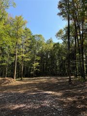 Lot 2 Evergreen Lane, Narrowsburg, NY 12764