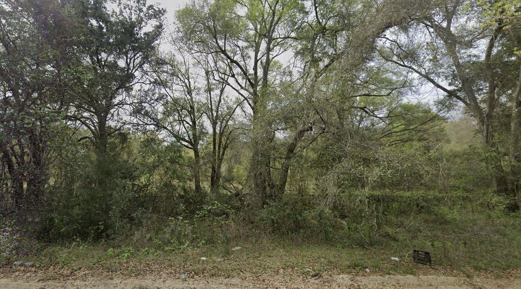 305 Milton Avenue, Interlachen, FL 32148
