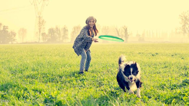 605 Hedrick Ridge Road 305, Cary, NC 27519