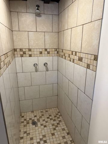 1708 S SPRING Street, Springfield, IL 62704