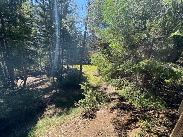 1301 Doreen Drive, Honeydew, CA 95545