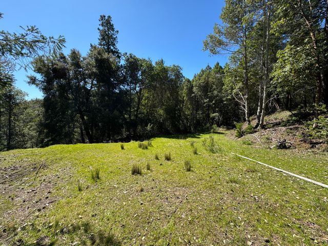 1301 Doreen Drive, Honeydew, CA 95545