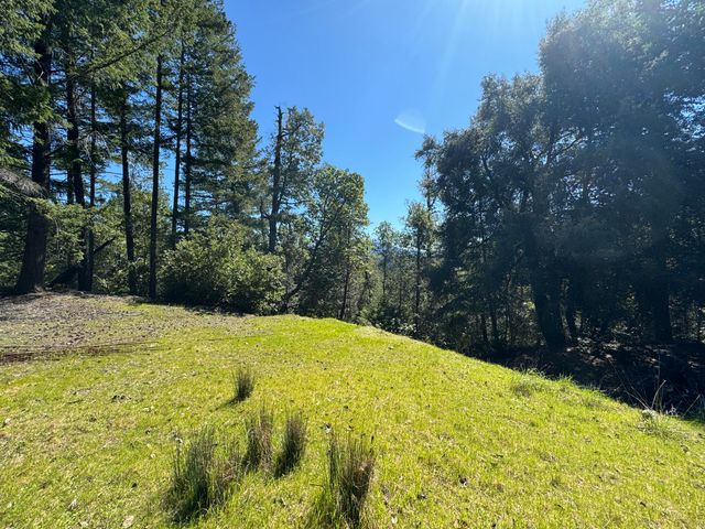 1301 Doreen Drive, Honeydew, CA 95545