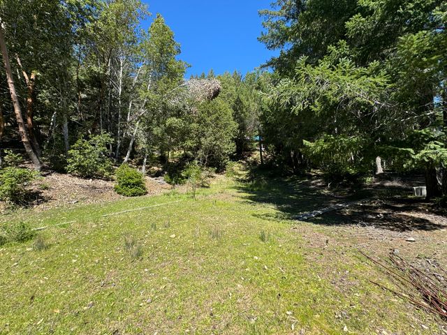 1301 Doreen Drive, Honeydew, CA 95545