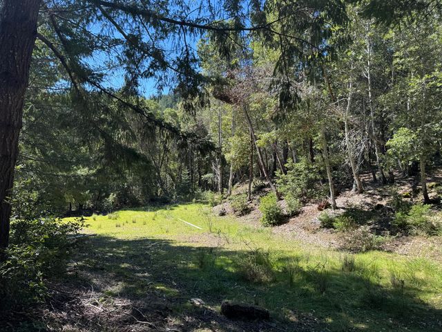 1301 Doreen Drive, Honeydew, CA 95545