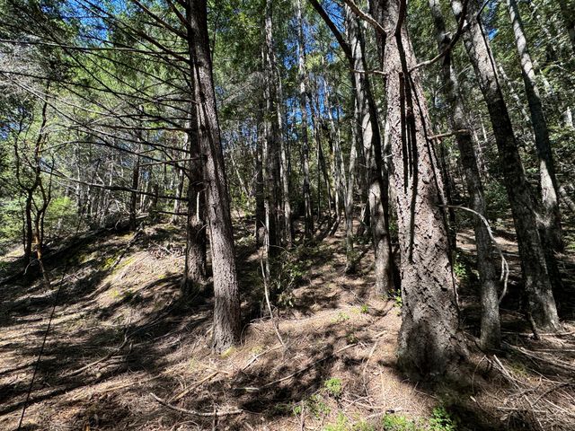 1301 Doreen Drive, Honeydew, CA 95545