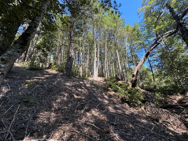 1301 Doreen Drive, Honeydew, CA 95545