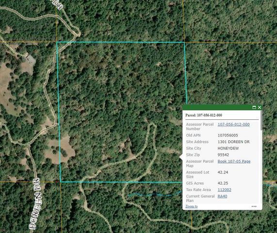 1301 Doreen Drive, Honeydew, CA 95545