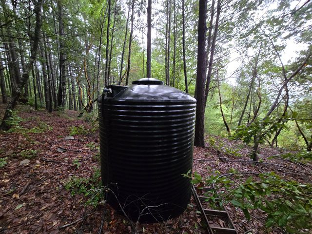 1301 Doreen Drive, Honeydew, CA 95545