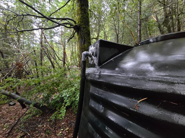 1301 Doreen Drive, Honeydew, CA 95545