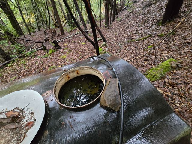 1301 Doreen Drive, Honeydew, CA 95545