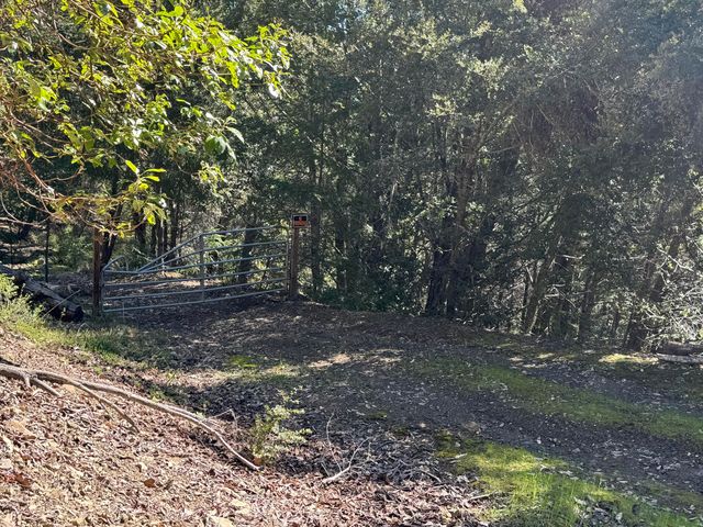 1301 Doreen Drive, Honeydew, CA 95545