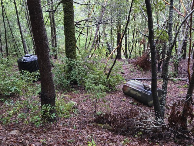 1301 Doreen Drive, Honeydew, CA 95545