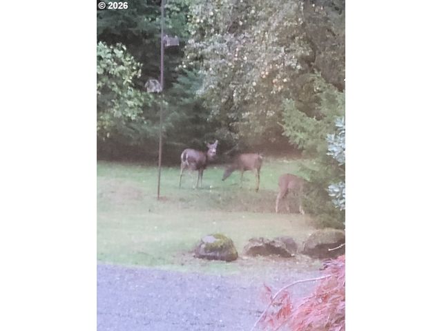 27572 S KINZY Rd, Estacada, OR 97023