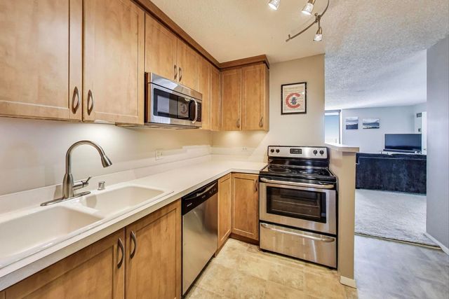 1122 N Clark Street 3304, Chicago, IL 60610