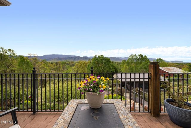 1180 Keller Road, Afton, TN 37616
