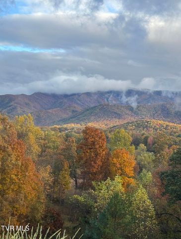 1180 Keller Road, Afton, TN 37616