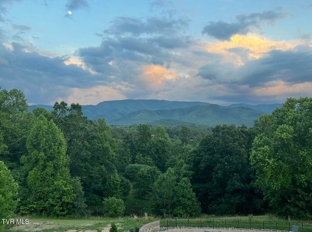 1180 Keller Road, Afton, TN 37616