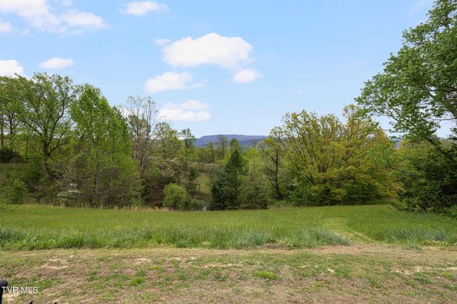 1180 Keller Road, Afton, TN 37616