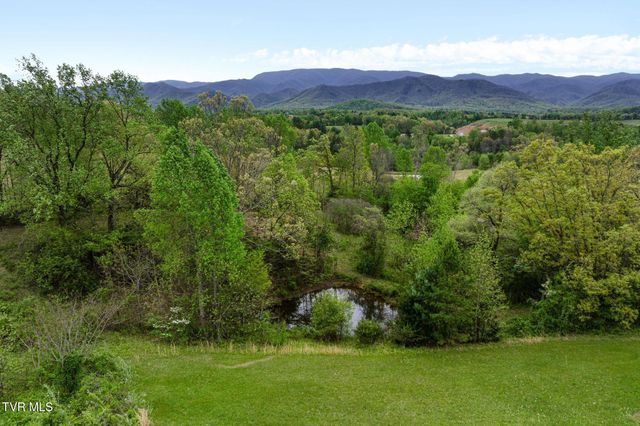 1180 Keller Road, Afton, TN 37616