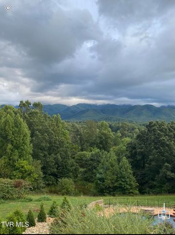 1180 Keller Road, Afton, TN 37616
