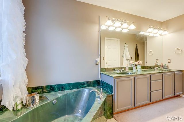 24 Meadow Woods Court, Edwardsville, IL 62025