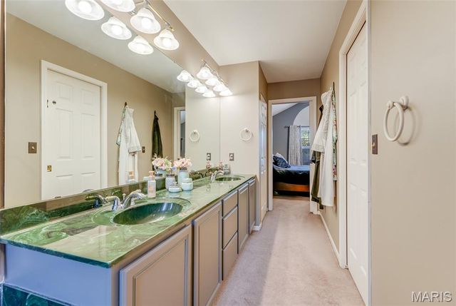 24 Meadow Woods Court, Edwardsville, IL 62025