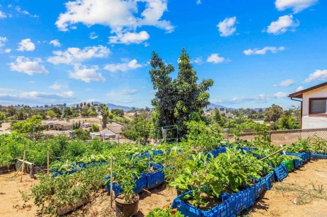 14668 Lyons Valley Road, Jamul, CA 91935