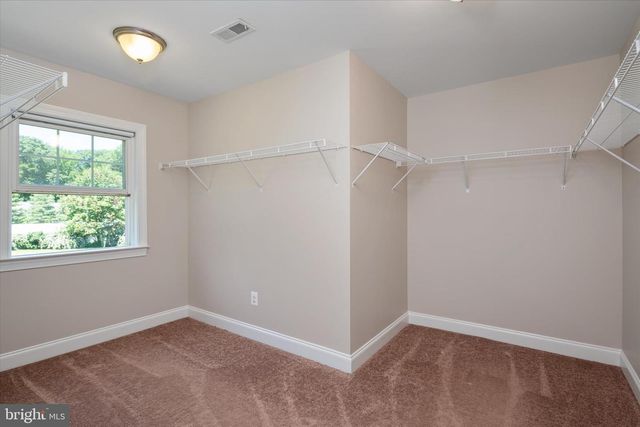 103 BEECH TREE LN, Centreville, MD 21617