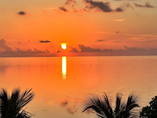 120 Toner Lane, Plantation Key, FL 33036