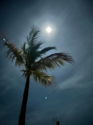 120 Toner Lane, Plantation Key, FL 33036