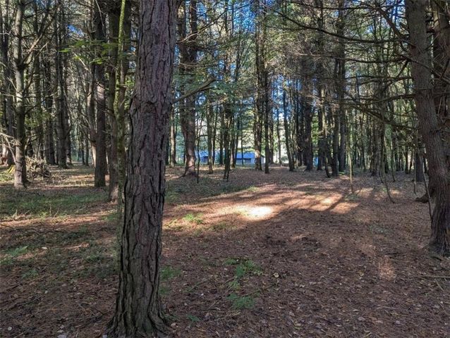 297 Creek Rd, Lansing, NY 13092