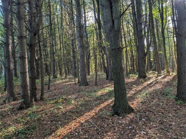 297 Creek Rd, Lansing, NY 13092