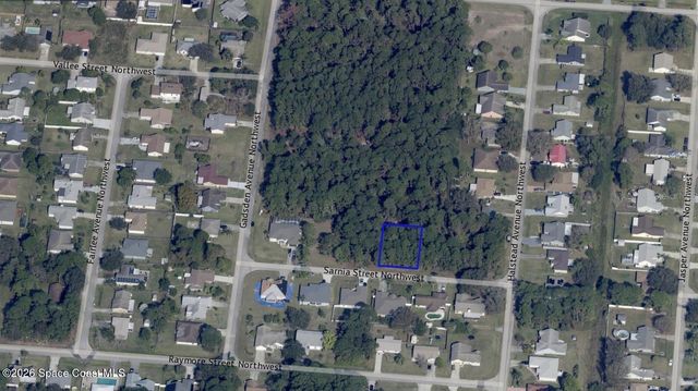 1541 Sarnia Street NW, Palm Bay, FL 32907