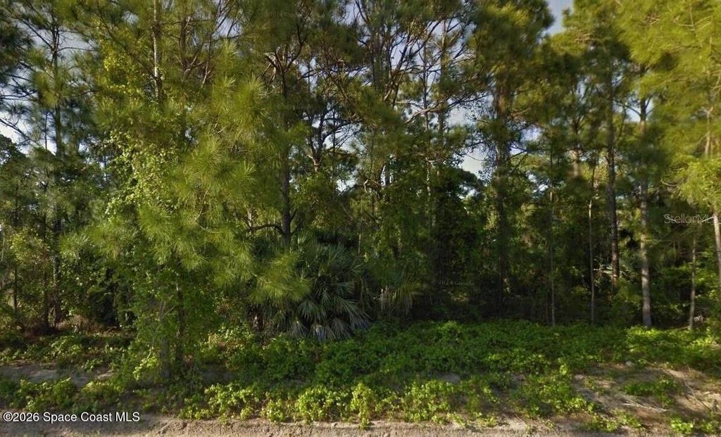 1541 Sarnia Street NW, Palm Bay, FL 32907