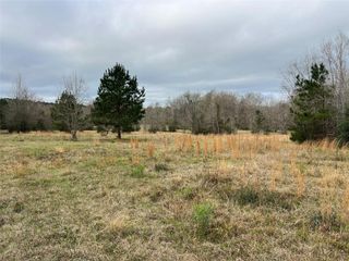 TBD 59 North, Livingston, TX 77351